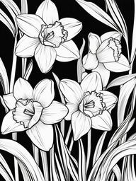 Floral Daffodils - Trumpet-shaped flowers signaling spring's arrival.  outling,coloring pages,black and white