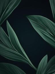 Dark Sage Wallpaper  ,mobile iphone background wallpaper