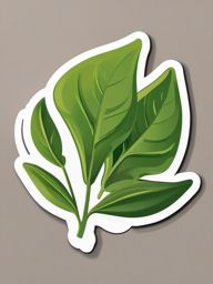 Rue Sticker - Add a touch of bitterness to your dishes with the distinctive flavor of rue leaves, , sticker vector art, minimalist design