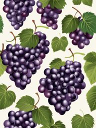 grapes clipart 
