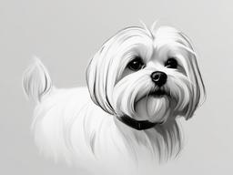 drawing of a Maltese dog  minimal rough sketch scribbles,doodles,black and white