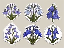 Bluebell Sticker - Welcome the enchanting and bell-shaped blooms of bluebells with this delicate sticker, , sticker vector art, minimalist design