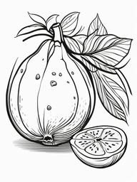 Fruit Coloring Pages - Guava with seeds and cut interior  simple coloring pages