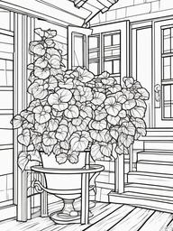 Begonia coloring page sheet - Bright begonias in a hanging pot on a cottage porch.  black outline printable coloring page