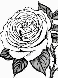 Rose Coloring Pages - Close-up of a blooming rose in detail  simple coloring pages