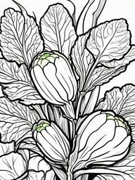 Vegetable Coloring Pages - Brussels sprouts on a stalk  simple coloring pages