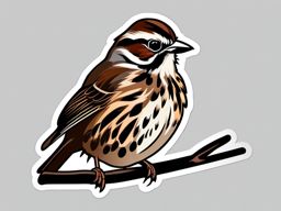 Song Sparrow Sticker - A song sparrow with brown and streaked plumage, ,vector color sticker art,minimal