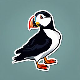 Atlantic Puffin Sticker - A charming Atlantic puffin with a colorful beak, ,vector color sticker art,minimal