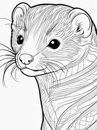 Ferret Coloring Pages - Long Slender Playful Mammal  black outline printable coloring page