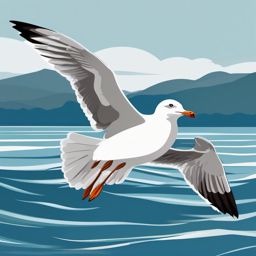 Seagull clipart - Seabird with graceful flight along coastlines, ,color clipart vector style