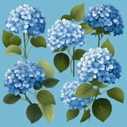 Blue Hydrangea Clip Art - Clusters of blue hydrangea blooms,  color vector clipart, minimal style