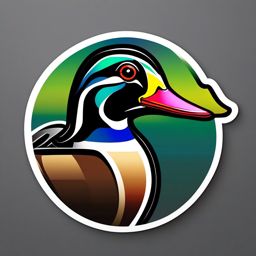 Wood Duck Sticker - A colorful wood duck with iridescent plumage, ,vector color sticker art,minimal