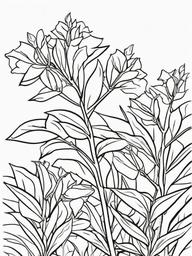 Plant Coloring Pages - Plant with thorns  simple coloring pages