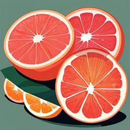 Grapefruit Clipart - Large and tangy grapefruit fruit.  color vector clipart, minimal style