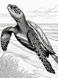 Leatherback Turtle Coloring Pages - Largest Sea Turtle Species  black outline printable sheet, coloring page