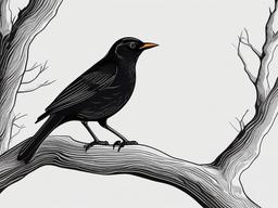 Blackbird cartoon  minimal, white background