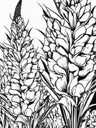 Floral Snapdragons - Tall, colorful spikes resembling dragon mouths.  outling,coloring pages,black and white