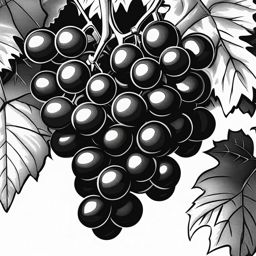 grapes clipart black and white 