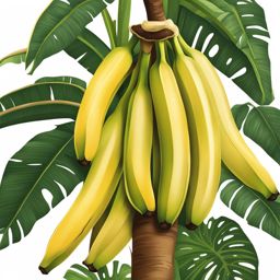 banana clipart - ripening on a tropical tree. 