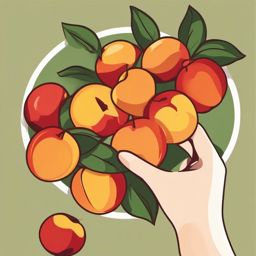 Nectarine Picking Clipart - Hand picking ripe nectarines.  color vector clipart, minimal style