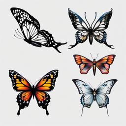 butterfly evolution tattoo  simple color tattoo, minimal, white background