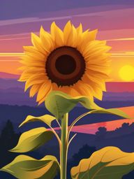 Sunflower Clipart - A radiant sunflower basking in the golden rays of a summer sunset, exuding natural beauty.  color clipart, minimalist, vector art, 